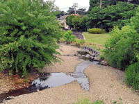 現在の空堀川の会場付近。水量は少ない（東村山市で）